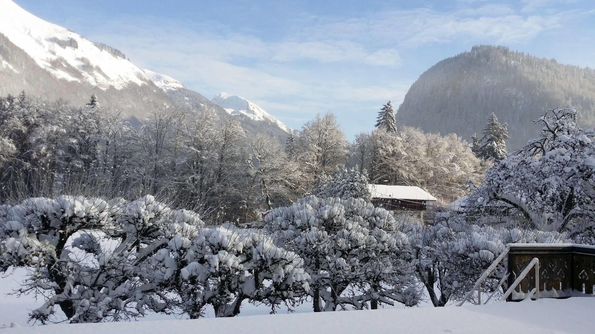 Hotel Les Fleurs Montriond Exterior foto